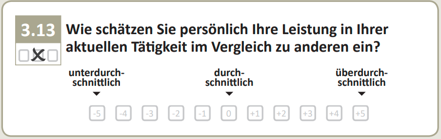Wie schätzen Sie persönlich Ihre Leistung in Ihrer aktuellen Tätigkeit im Vergleich zu anderen ein?