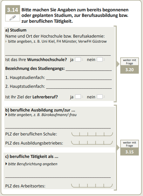 Bitte machen Sie Angaben zum bereits begonnenen oder geplanten Studium, zur Berufsausbildung bzw. zur beruflichen Tätigkeit.
