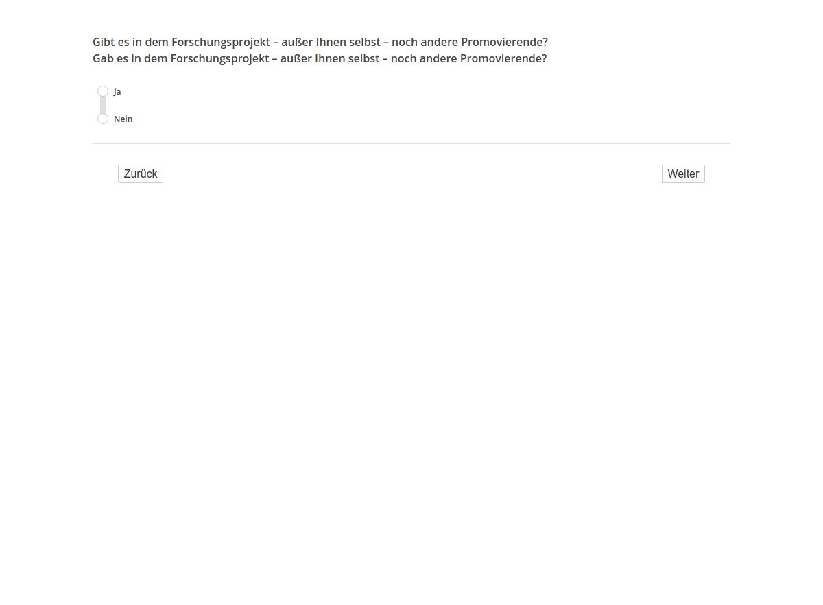 Gibt es in dem Forschungsprojekt – außer Ihnen selbst – noch andere Promovierende?/Gab es in dem Forschungsprojekt – außer Ihnen selbst – noch andere Promovierende?
