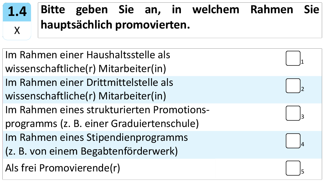 Bitte geben Sie an, in welchem Rahmen Sie hauptsächlich promovierten.