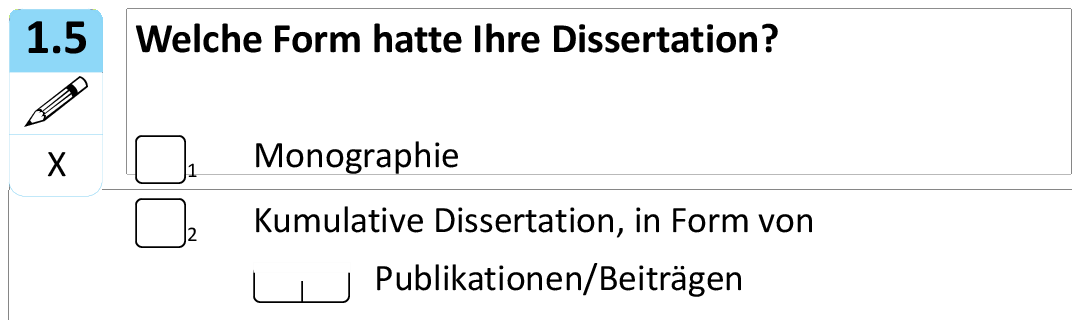 Welche Form hatte Ihre Dissertation?