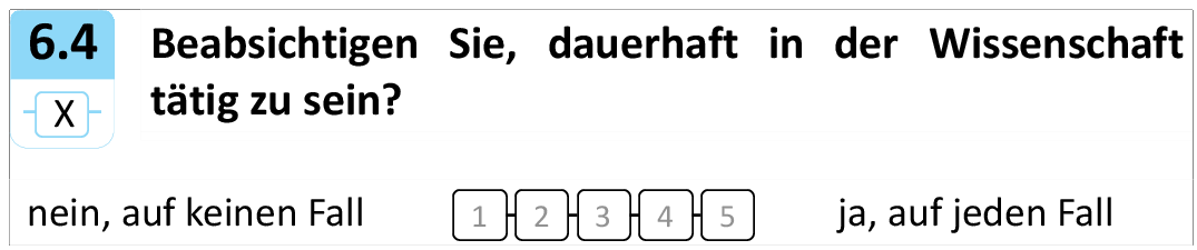 Beabsichtigen Sie, dauerhaft in der Wissenschaft
tätig zu sein?